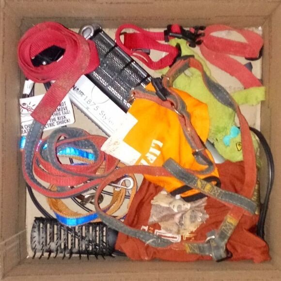 pet toys clothes accessories and blow dryer - Picture 4 of 9